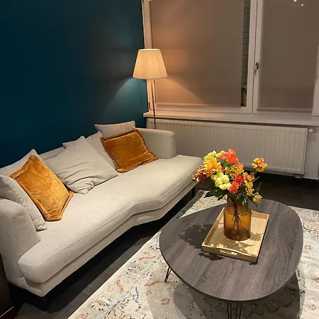 Cozy House With Garden Mulhouse