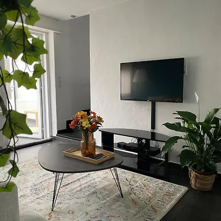 Daire Cozy House With Garden Mulhouse